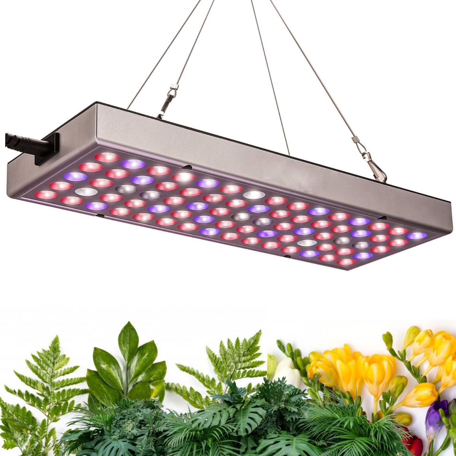 LED Grow Lights for Indoor Plants - SensoGro - SensoLum